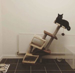 Arbre A Chat En Bois Design Ou Mural Pour Un Chat 100