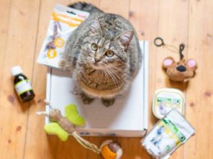 Avis Miaoubox