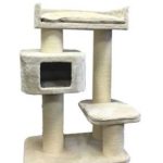 arbre a chat maine coon devon rex