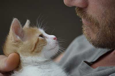 Pourquoi les chats s’attachent-ils souvent à une personne en particulier ?