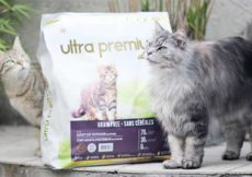 Ultra Premium Direct : Les croquettes qui respectent l’instinct carnivore de votre chat