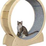 roue pour chat bois