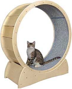 roue pour chat bois