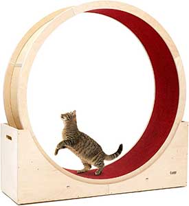 roue pour chat