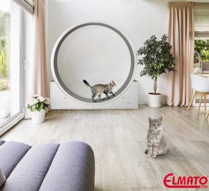 roue pour chat excercice