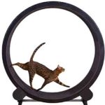 roue d'exercice pour chat