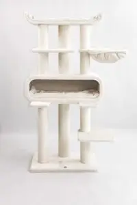 arbre a chat maine coon