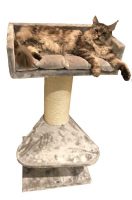 arbre-a-chat-maine-coon-lounge arbre-a-chat-maine-coon-lounge