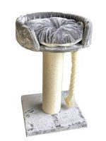 rhrquality-chartreux-gris petit arbre à chat
